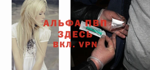 индика Армянск