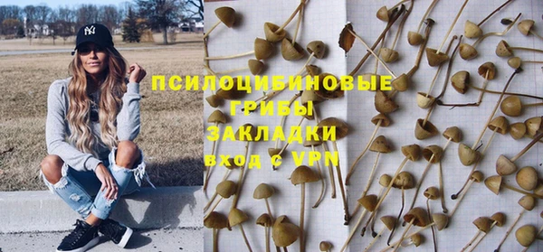 индика Армянск