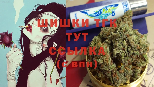 индика Армянск
