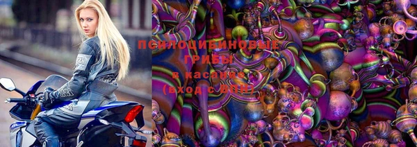 индика Армянск