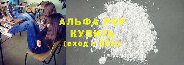 индика Армянск