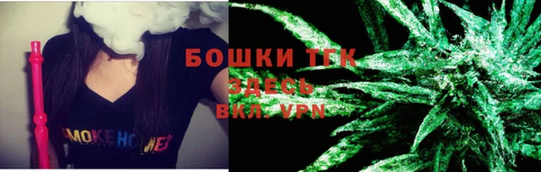 индика Армянск